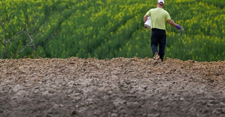 Ekstra pieniądze dla rolników. Podano kryteria