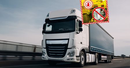 Zatrzymali 53 tys. puszek z napojem z Wietnamu. Oto co wykryli