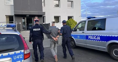 Zagłodzone na śmierć. Porzucone stado byków znaleziono na farmie w Wielkopolsce