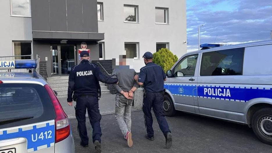 Policjanci z Gostynia zatrzymali mężczyznę, który porzucił stado 47 byków. 40 zwierząt padło z głodu