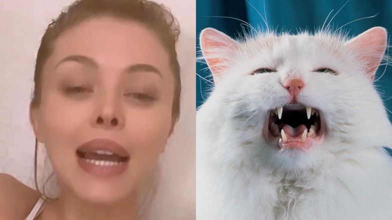 Joanna Opozda odpowiada kociej kawiarni