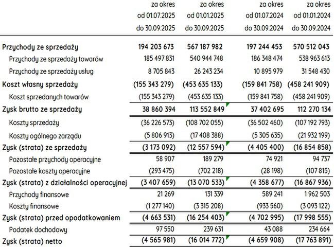 Wyniki finansowe Inmedio