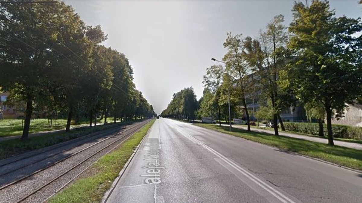 Wycinka drzew miała miejsce przy al. Niepodległości w Częstochowie