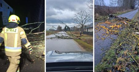 Wichura sieje spustoszenie w powiecie płockim - interwencje strażaków