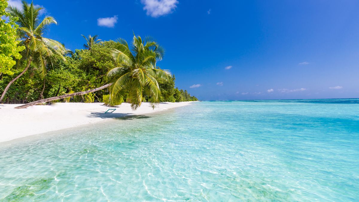 Krzyżówka o wyspach