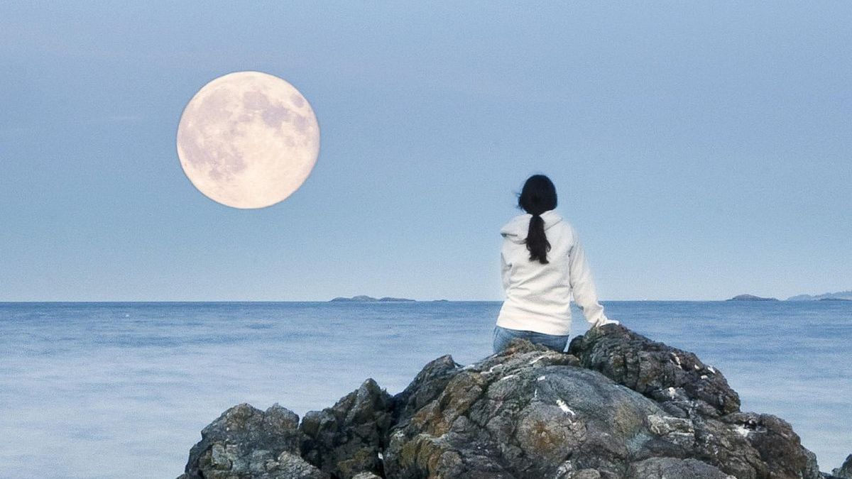 Bobrzy Księżyc rozświetli listopadowe niebo