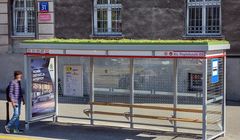 AMS wprowadza eko wiatę w Warszawie. W całości pokryta zielonym dachem