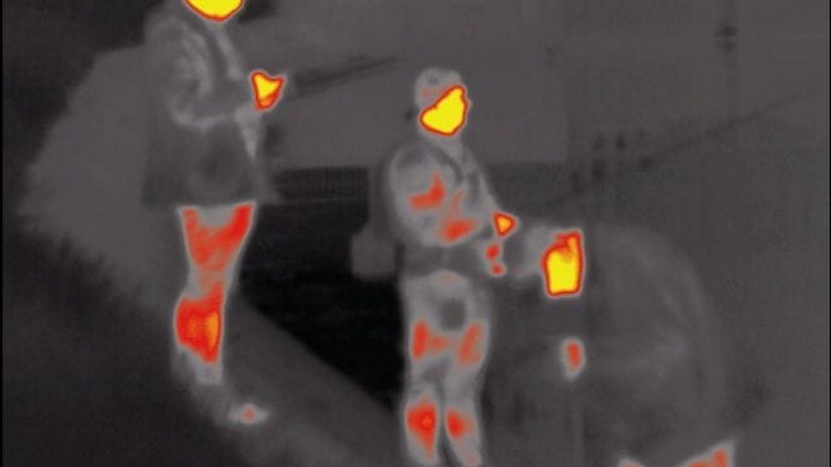 Policjanci użyli termowizji