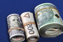 Złoty w trójce najmocniejszych walut świata. Eksperci wątpią w trwałość tej tendencji