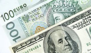 Złoty w górę. Rynek finansowy zignorował polityczne zamieszanie