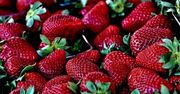 Mrożone truskawki znacznie droższe niż przed rokiem