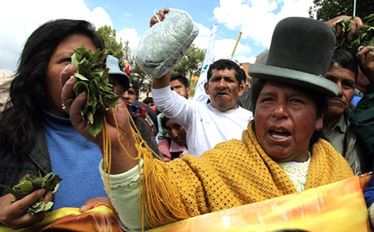 Legalizacja narkotyków w Boliwii. Brak zgody ONZ