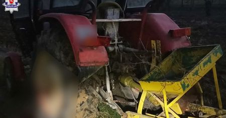 Pijany obok rębaka. Dramat przy wycince drzew na Lubelszczyźnie
