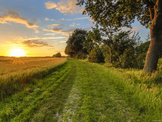 Bioróżnorodność – czym jest i jaki może mieć związek ze światowym PKB?