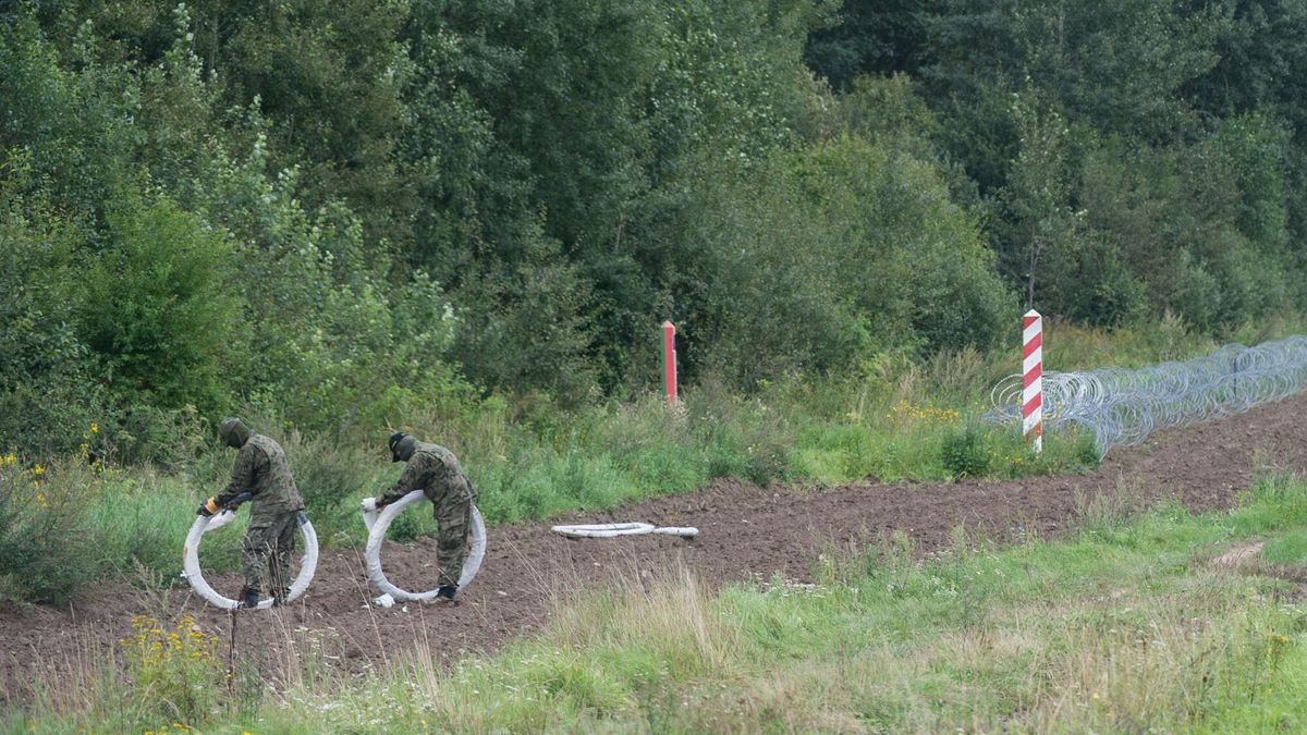 Białoruś. Rozłożone już zasieki na polskiej granicy ma uzupełnić jeszcze 2,5-metrowy płot
