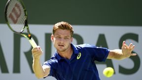 ATP Indian Wells: David Goffin wykorzystał szansę, pierwszy półfinał Belga rangi Masters 1000