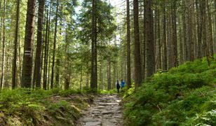 Warto pamiętać o zabraniu ze sobą prowiantu i napojów, gdyż punkty gastronomiczne będą nieczynne
