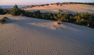 Wydmy w Maspalomas nie są już zadeptywane przez ludzi