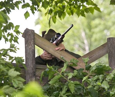 Łowiectwo obejmuje wiele zagadnień, w tym m.in. ochronę środowiska naturalnego, a także strzelectwo myśliwskie (zdjęcie poglądowe)