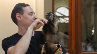 Wrocław: Exoticarium 2025 - największe targi terrarystyczne w Polsce z unikatowymi zwierzętami i kapucynką jako gwiazdą wydarzenia