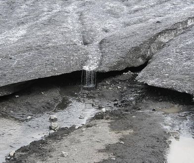 Topniejące lodowce uwalniają ogromne ilości drobnoustrojów