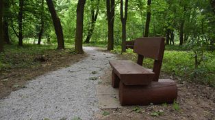 Tarnów: Nowy park. Otwarciu towarzyszył piknik rodzinny