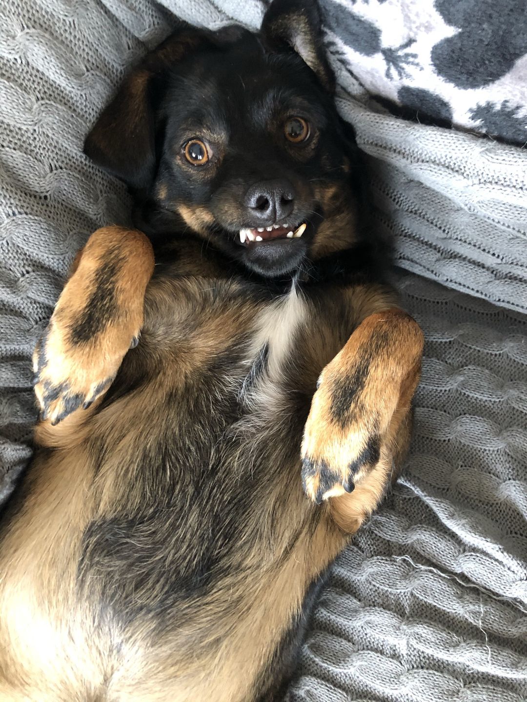 Nowe życie zaczął od zmiany imienia na Grinch