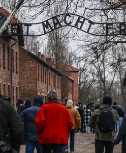 Muzeum Auschwitz ostrzega. Oszuści nie mają wstydu