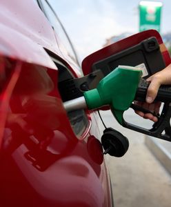 Niemcy masowo przyjeżdżają do Polski. Mają jeden cel