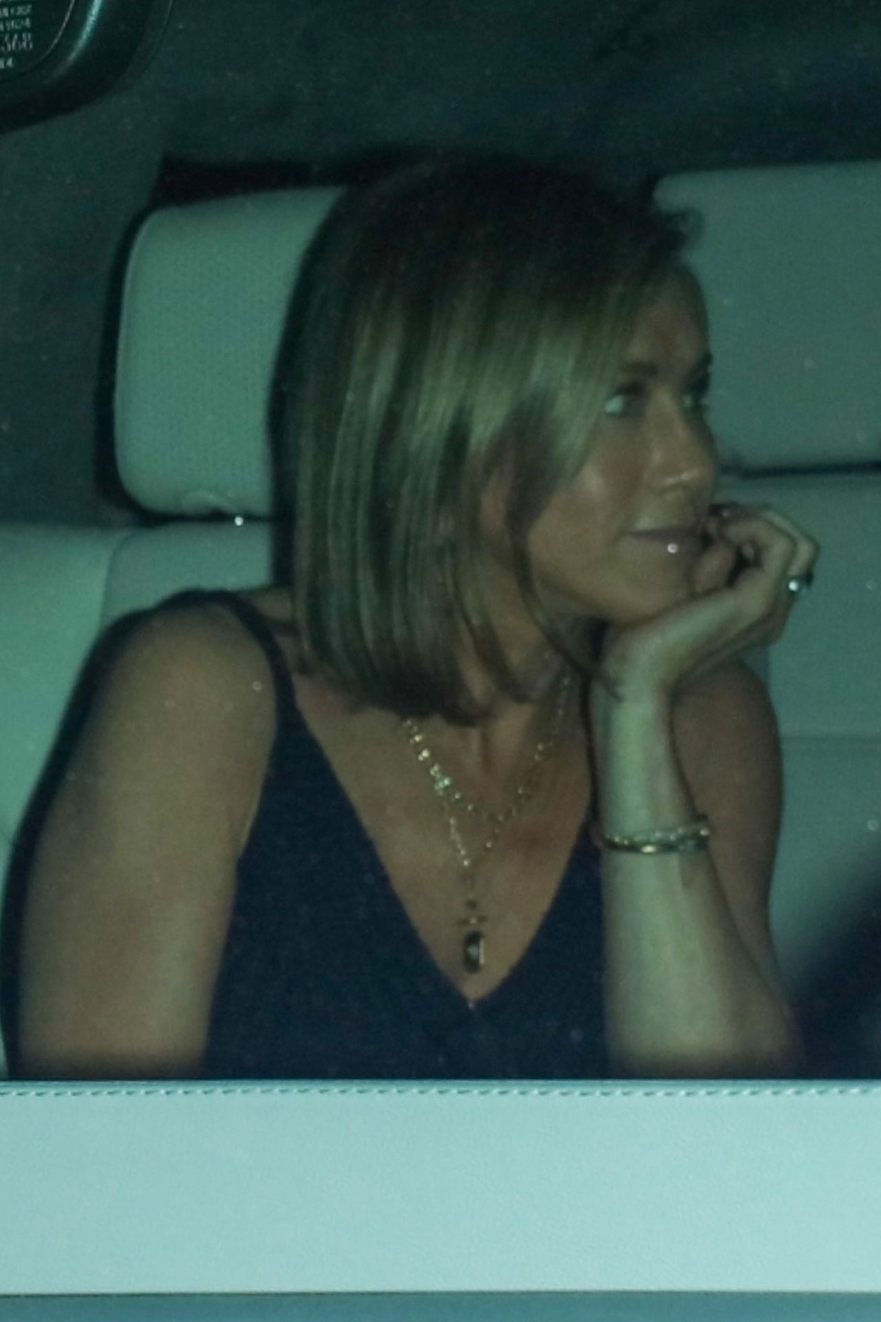 Jennifer Aniston and Courteney Cox "caught" together at dinner
