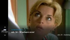 TVP: kolejne kanały internetowe jeszcze w tym roku