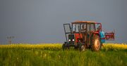 KRUS przypomina. W poniedziałek mija ważny termin dla rolników