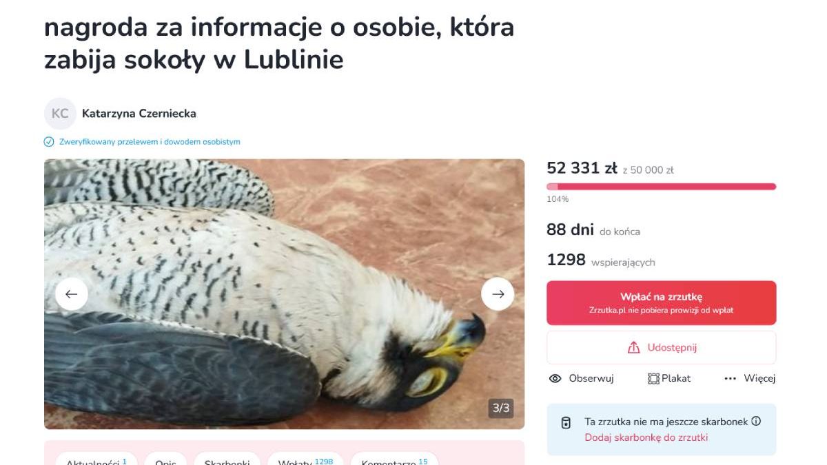 Udało się uzbierać ponad 50 tys. zł na nagrodę za wskazanie sprawcy otrucia sokoła Czarta