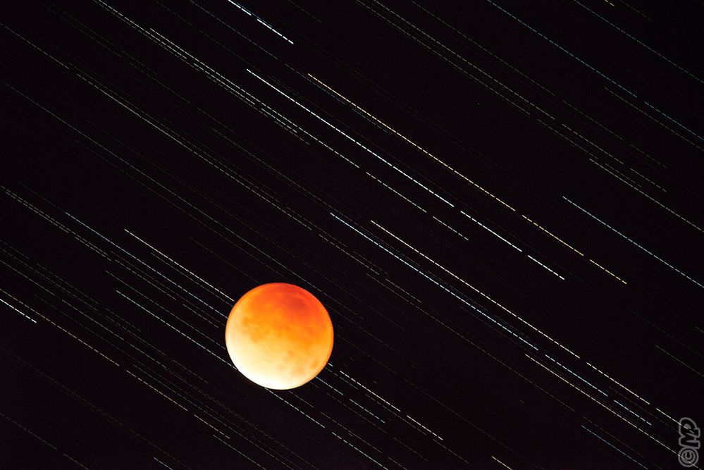 „Krwawy Księżyc" okiem naszych czytelników i blogerów