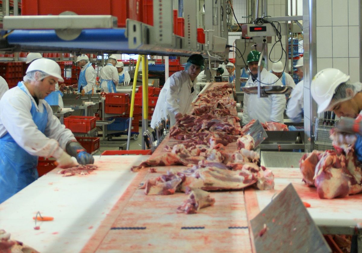 "Podatek od mięsa ma podstawy ideologiczne". Rząd odrzuca pomysł na daninę od mięsożerców