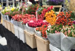 Dzień Kobiet 2023. Ile kosztują kwiaty? Ceny goździków, tulipanów i róż