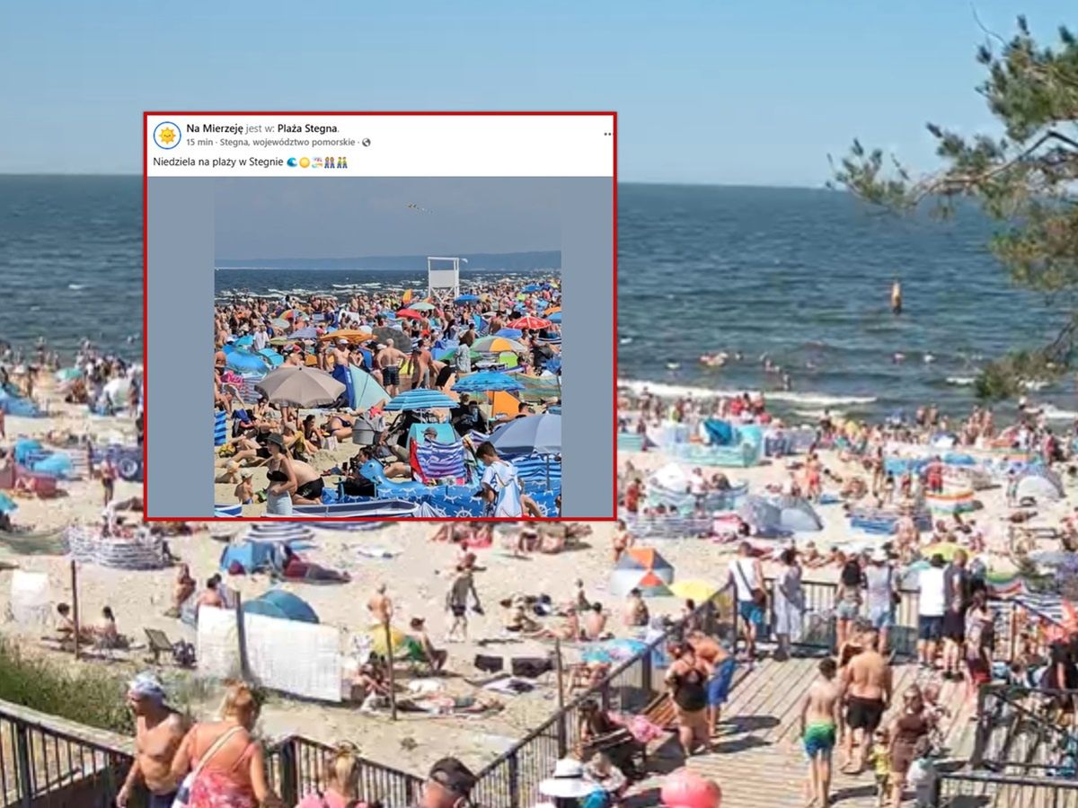 "Koszmar". Widok na plażę w Stegnie