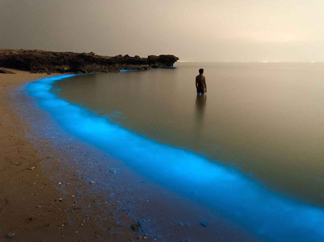 Każde ze zdjęć ma swoją historię. Na przykład to autorstwa Pooyana Shadpoora przedstawia wybrzeże Larak w Iranie, które zostało częściowo pokryte świecącym planktonem. Autor mói o zdjęciu krótko: „Magiczne światła planktonu oczarowały mnie tak mocno, że musiałem zrobić zdjęcie.”