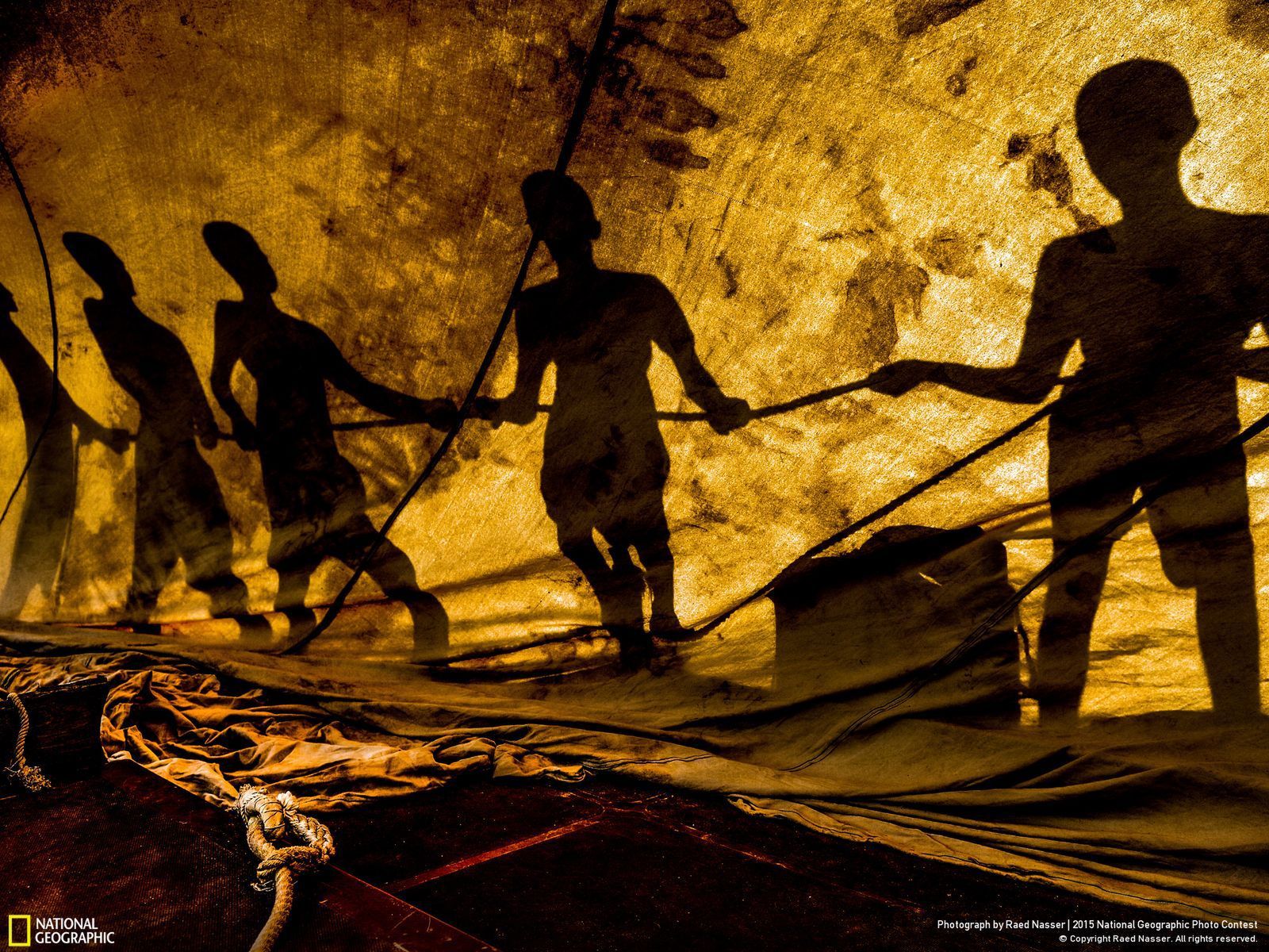 Zachwycają przyroda, czyli najlepsze zgłoszenia National Geographic Photo Contest 2015 10