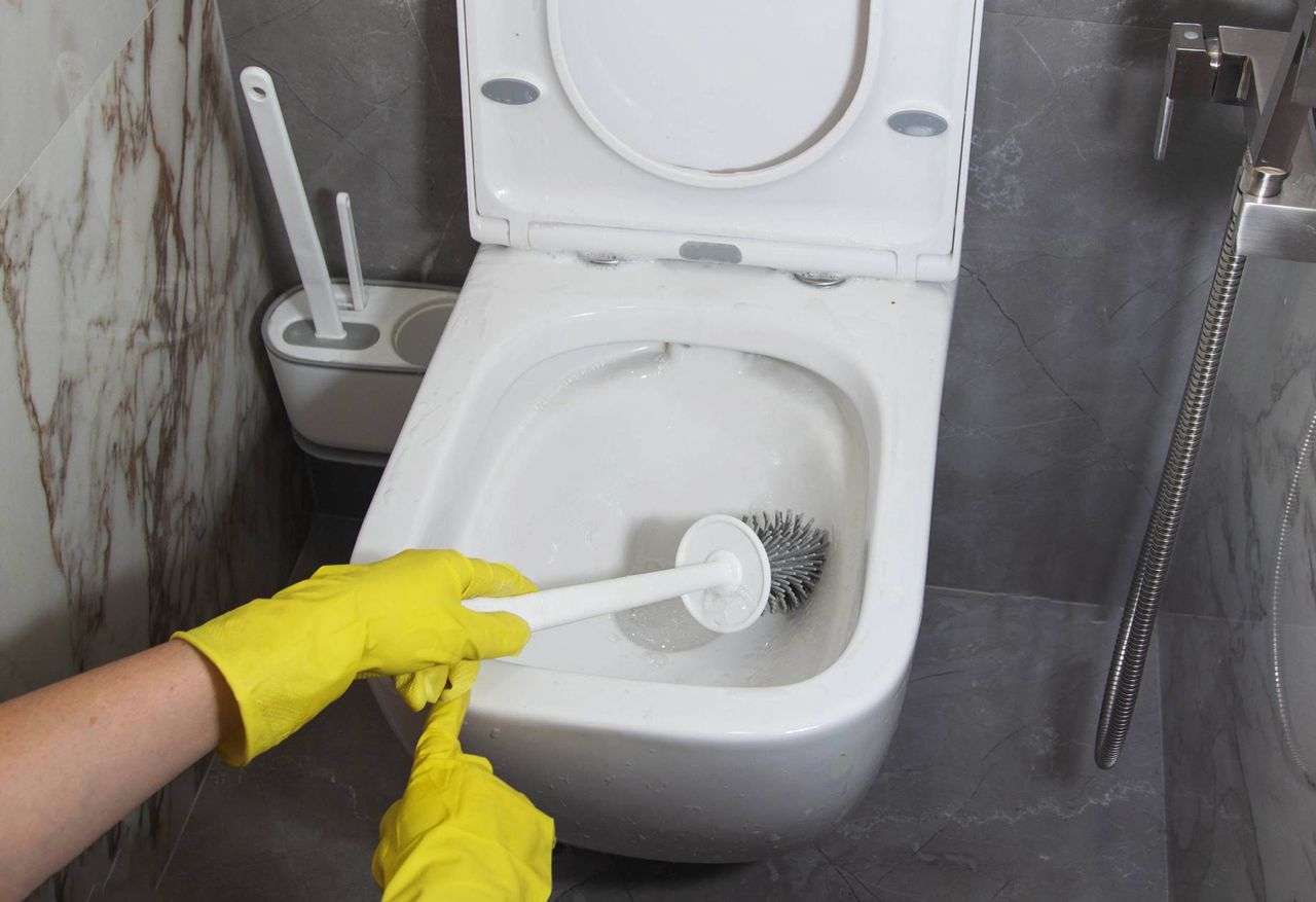 Kitchen hacks: How to tackle toilet cleaning naturally