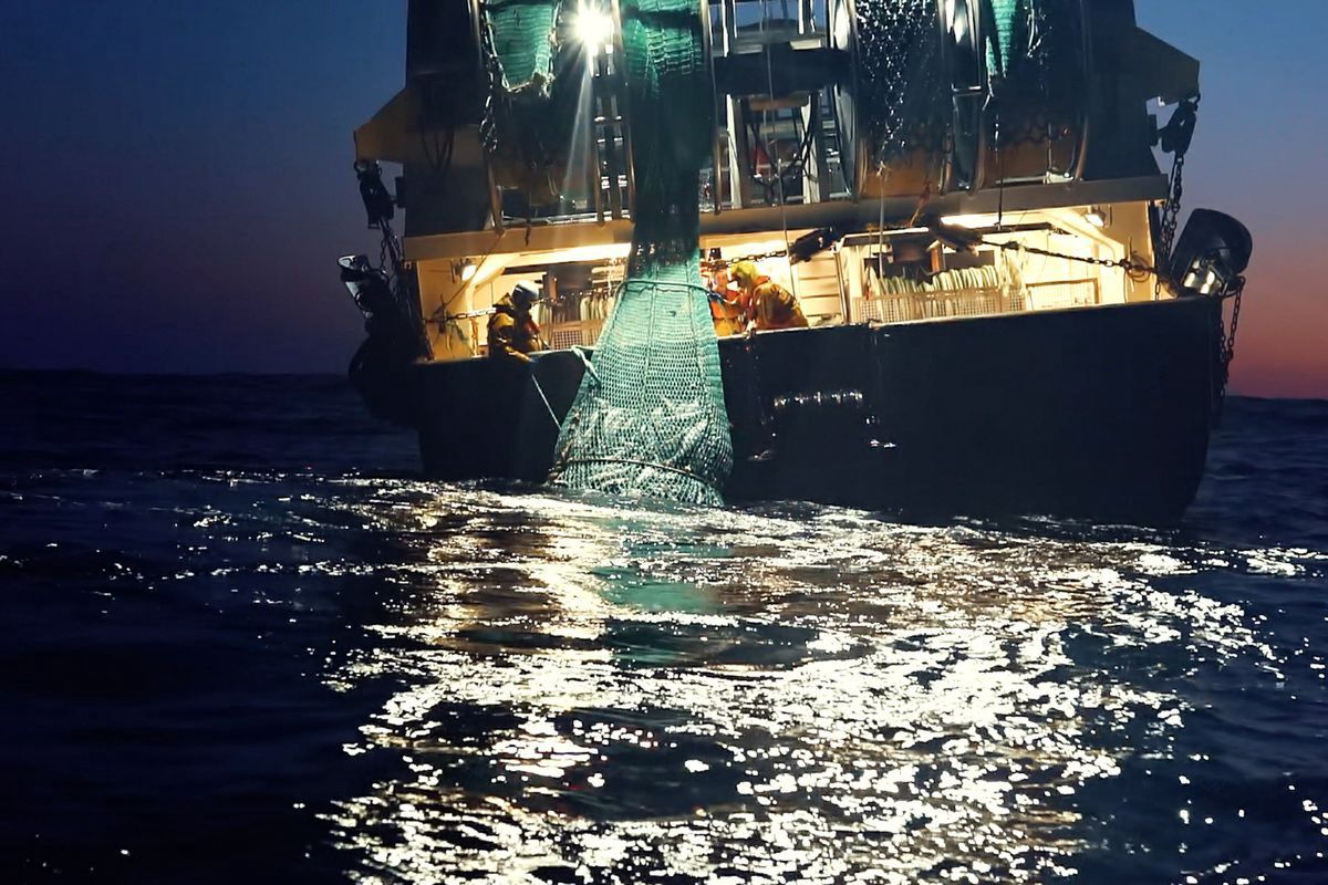 seaspiracy