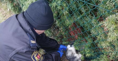 Uratowały zwierzę z opałów. Internauci nie mogą im wybaczyć jednego