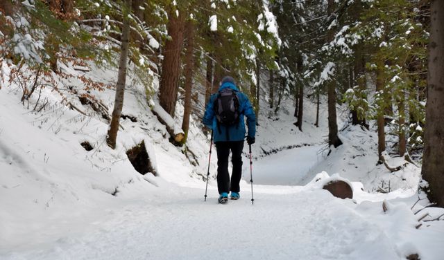 Zagubiony niedźwiadek na szlaku w Tatrach. "Strasznie się wydzierał"