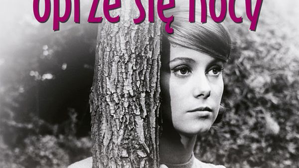 Obraz