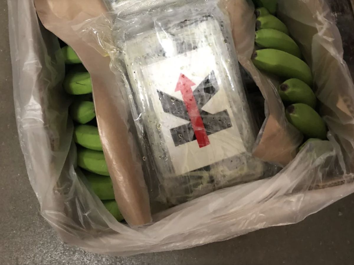 W kartonach z bananami pracownik niemieckiej hurtowni odkrył zafoliowane paczki z kokainą