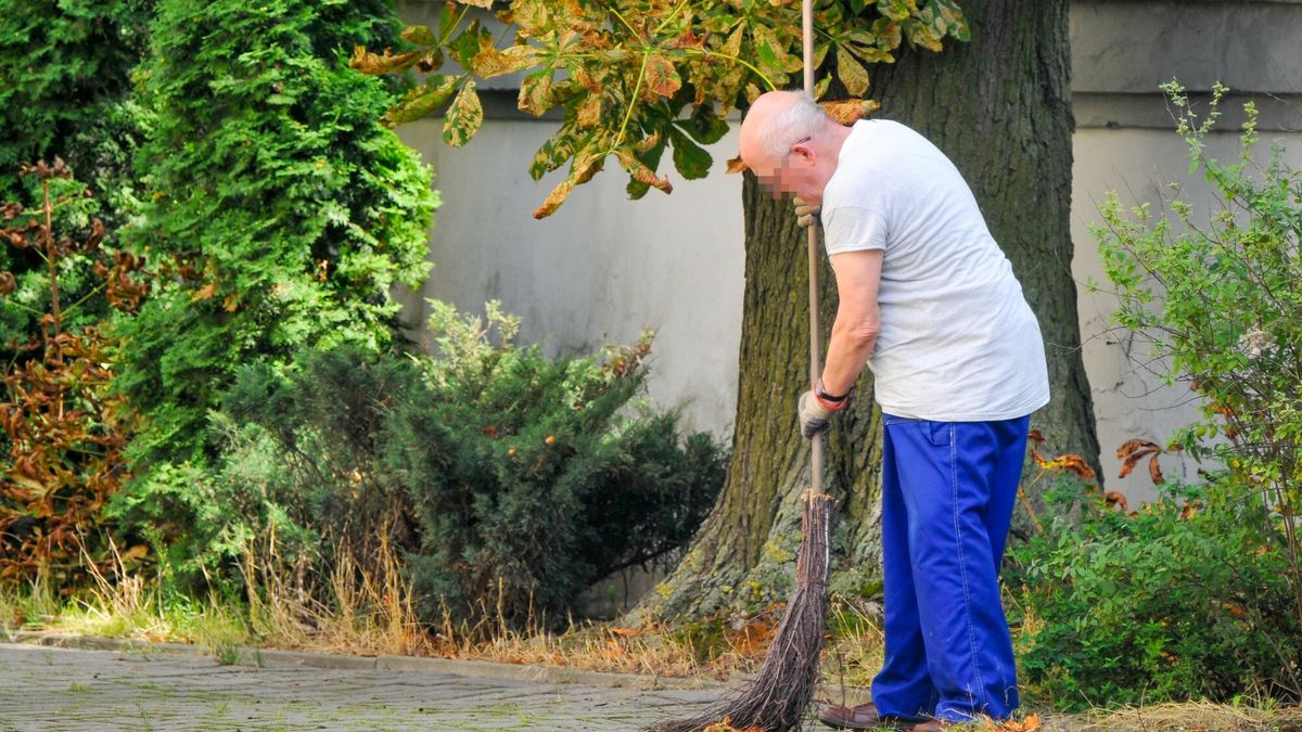 Reporter archiwum 2023 10
28.09.2023 Lodz. Starszy mezczyzna dorabia do emerytury. Fot. Piotr Kamionka/REPORTER
Piotr Kamionka/REPORTER