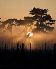Flickr: subiektywny przegląd zdjęć tygodnia 10 3