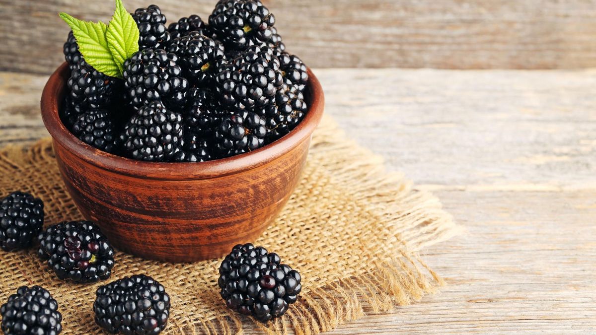 Nalewka z jeżyn zmniejsza objawy menopauzy.