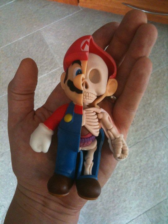 Anatomia Mario 2