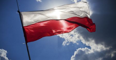 Wybory samorządowe 2024 Puławy. Lista kandydatów na prezydenta miasta
